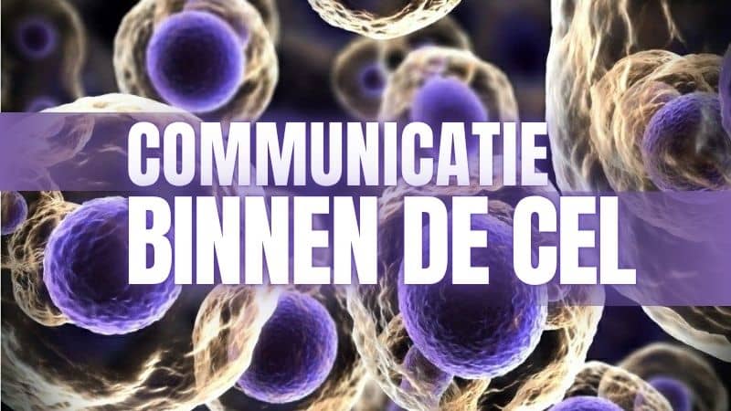 Communicatie binnen de cel