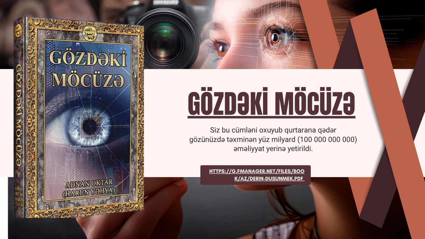 Gözdəki Möcüzə