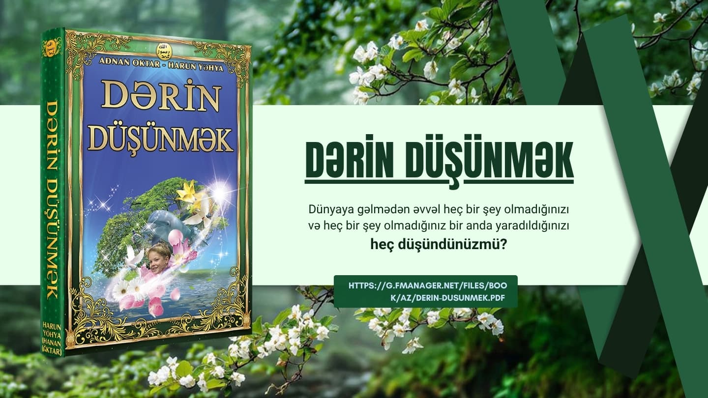 Dərin Düşünmək