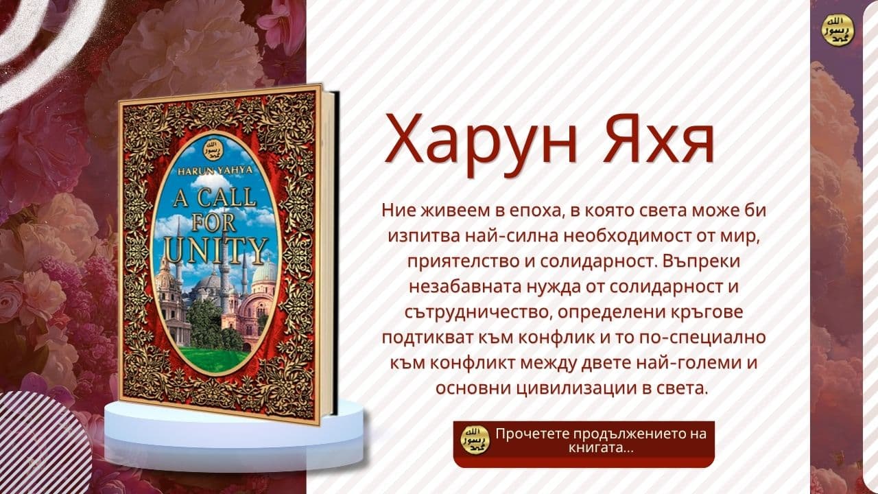 Призив За Единство