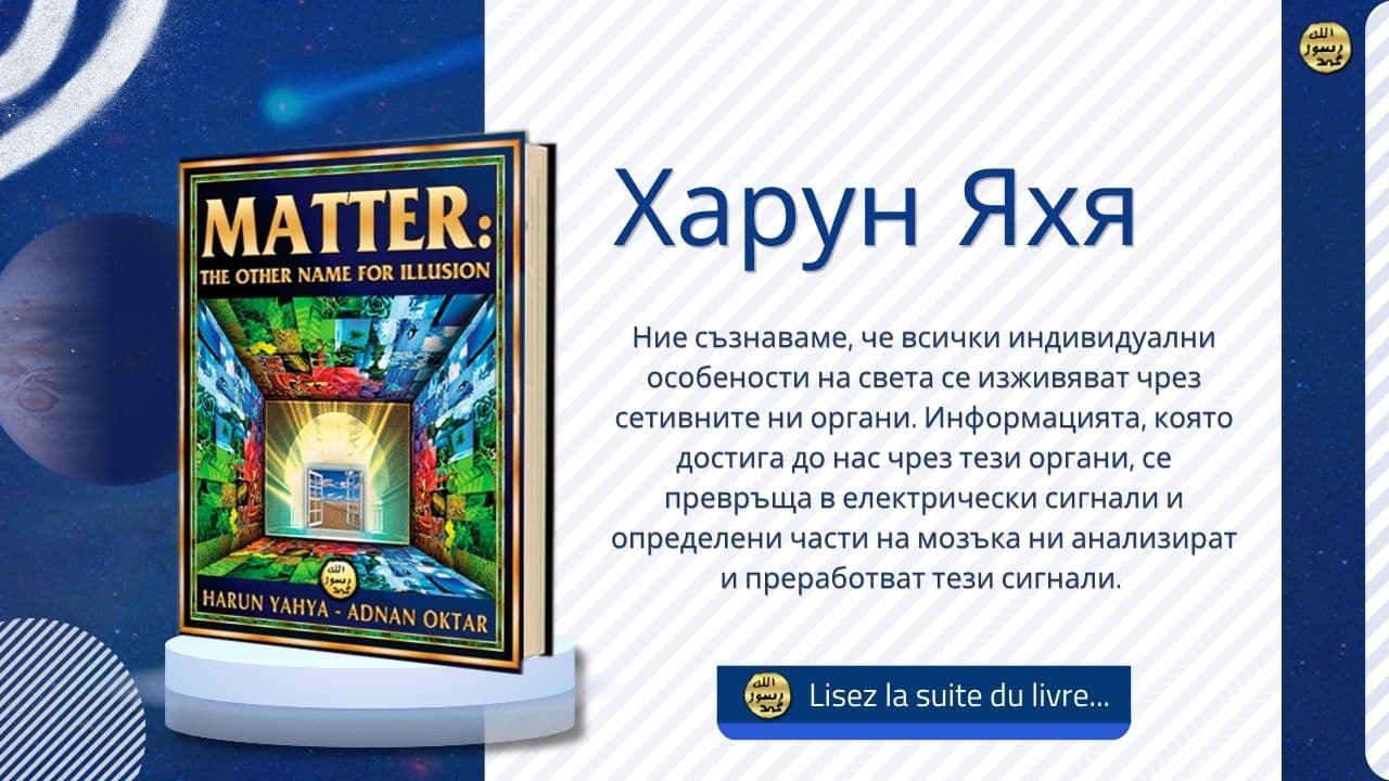 Другото Наименование На Въображението: Материя