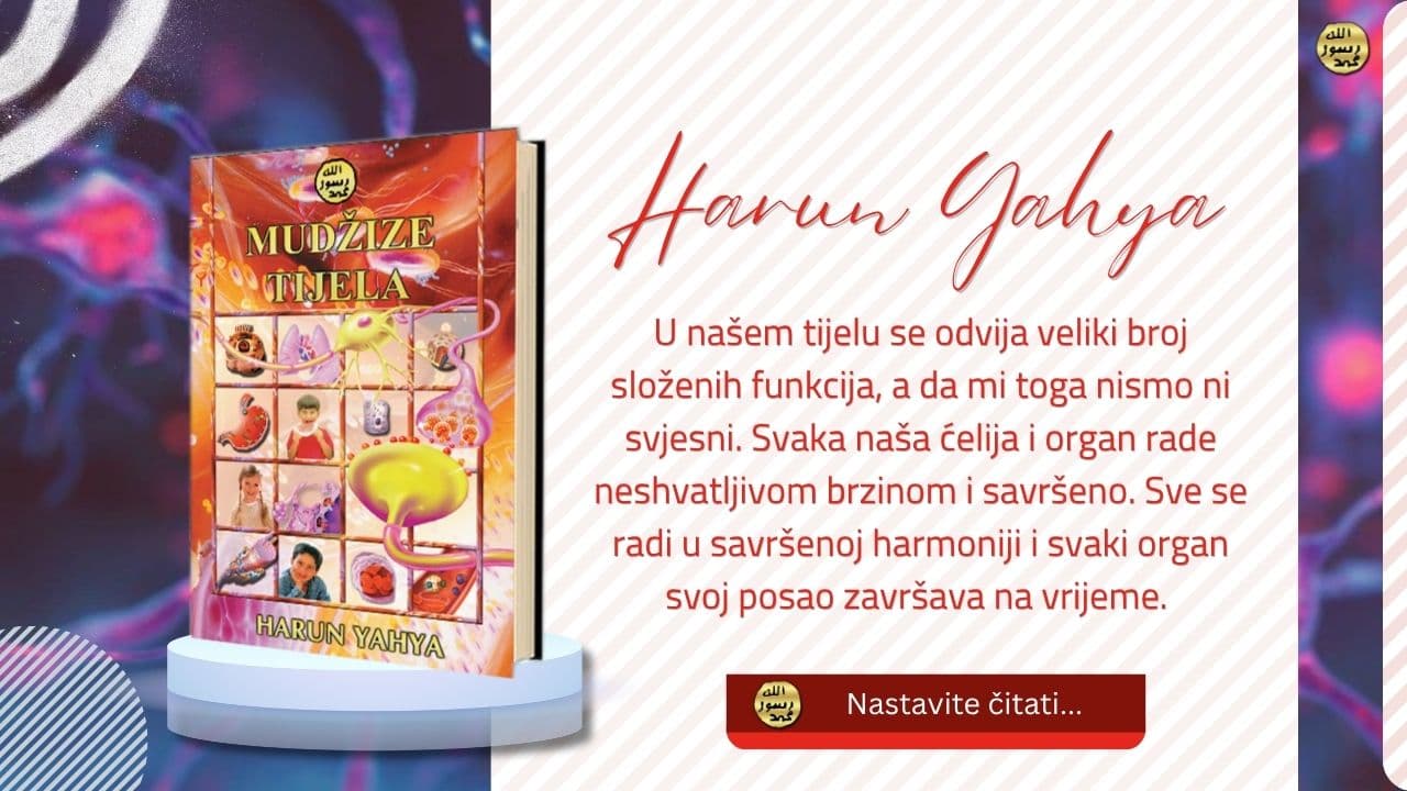 Mudžize Tijela