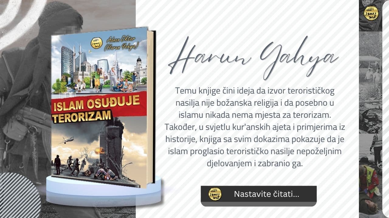 Islam Osuđuje Terorizam