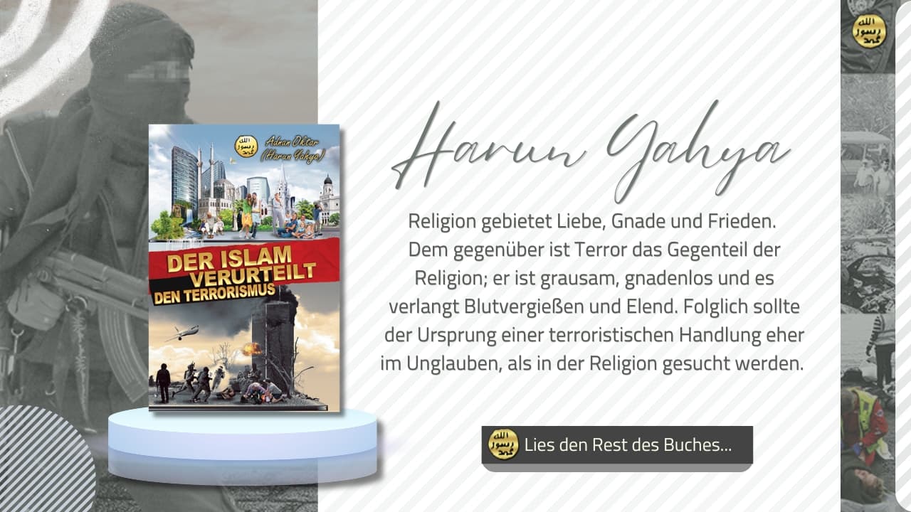 Der Islam Verurteilt den Terrorismus