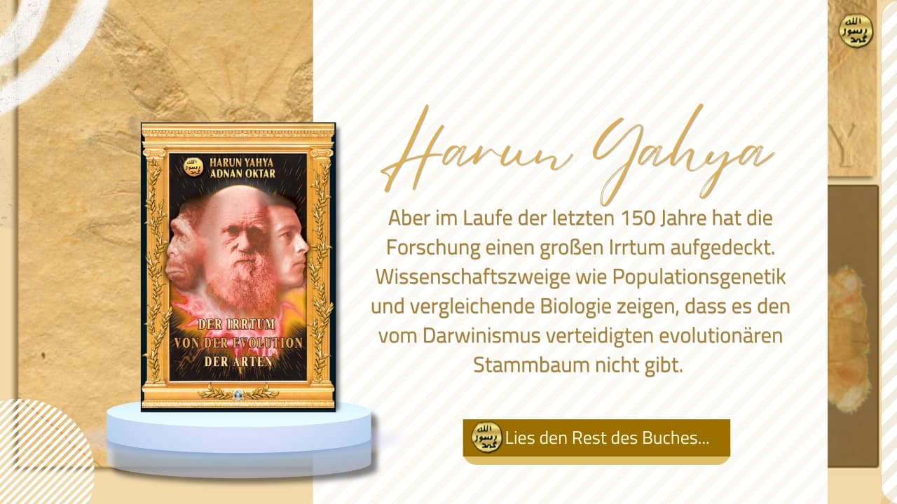 Der Irrtum von der Evolution der Arten