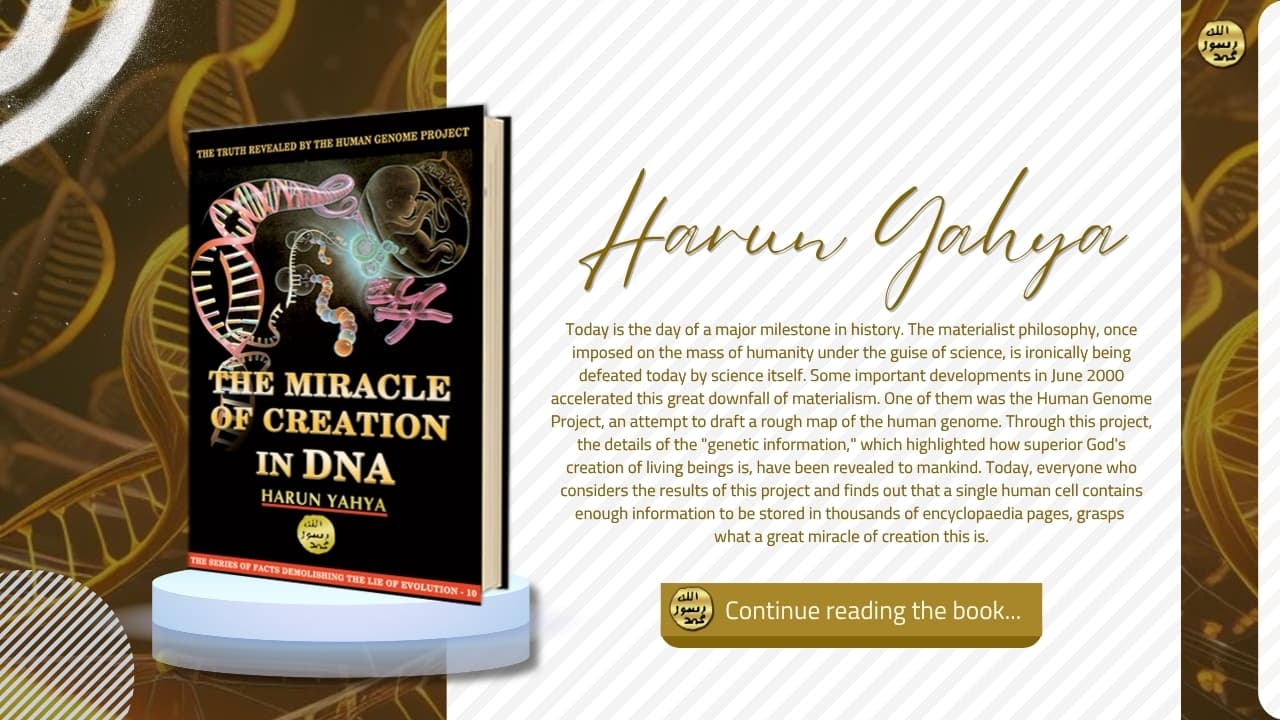 The Miracle of Creation in DNA