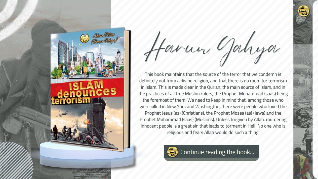 Islam Denounces Terrorism