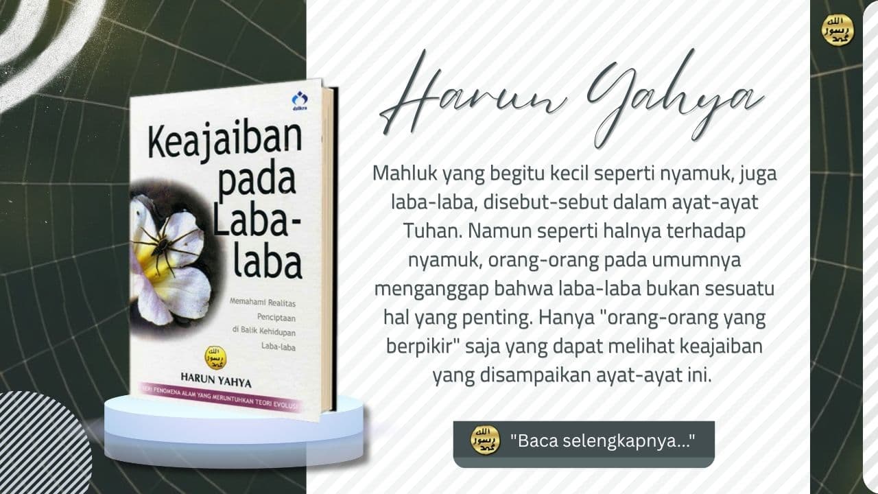 Menjelajah Dunia Laba-laba