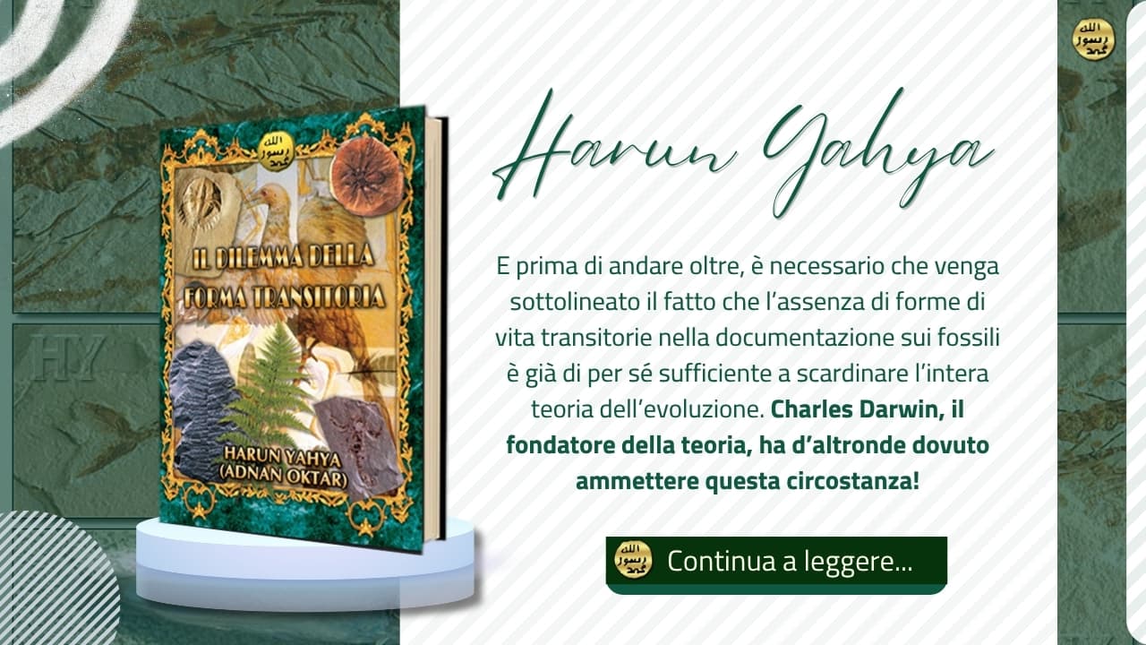 Il Dilemma Della Forma Transitoria