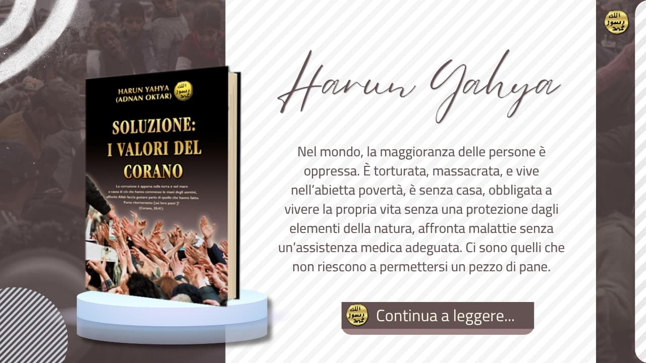 Soluzione: I Valori del Corano