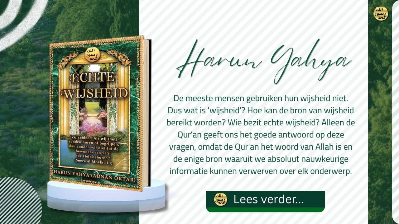 Echte Wijsheid