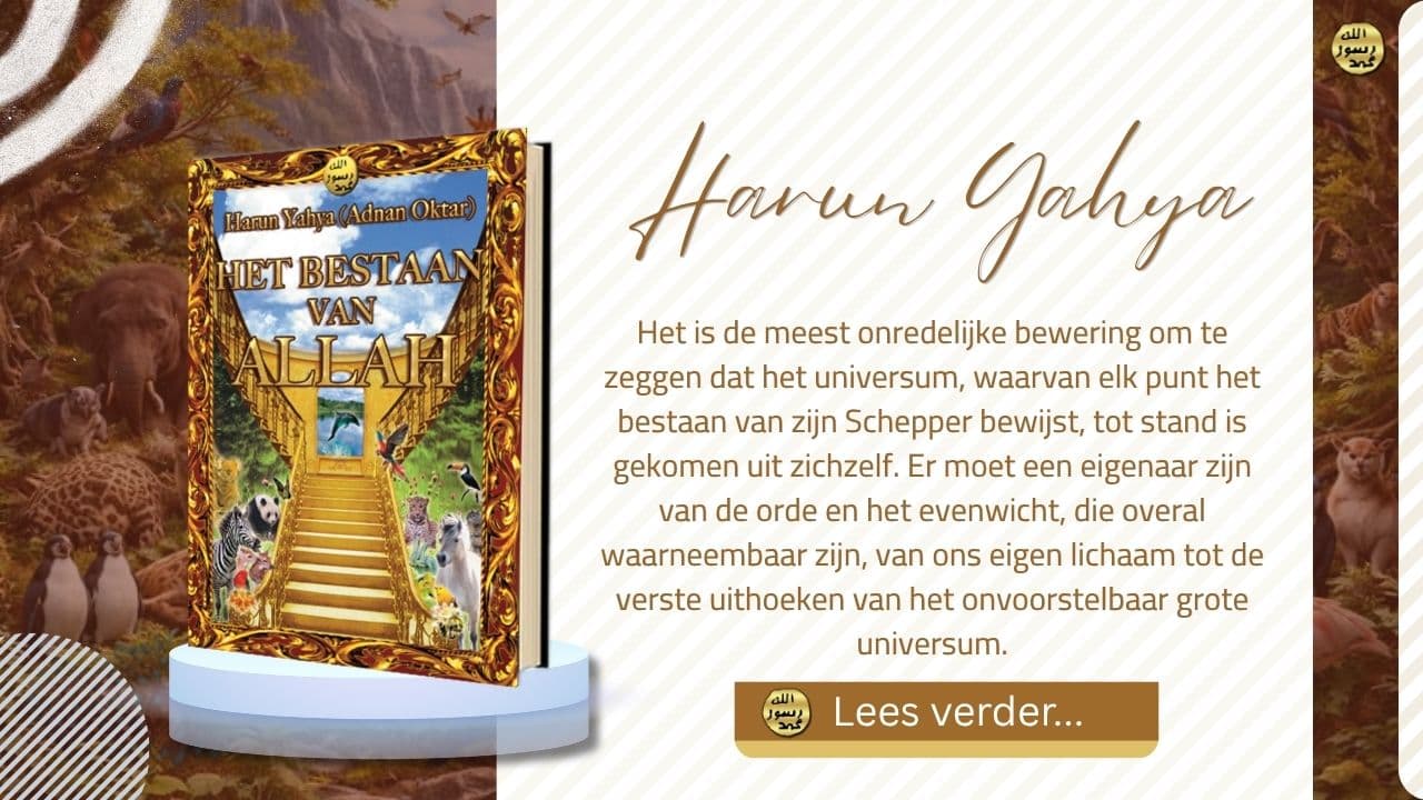 Het Bestaan van Allah