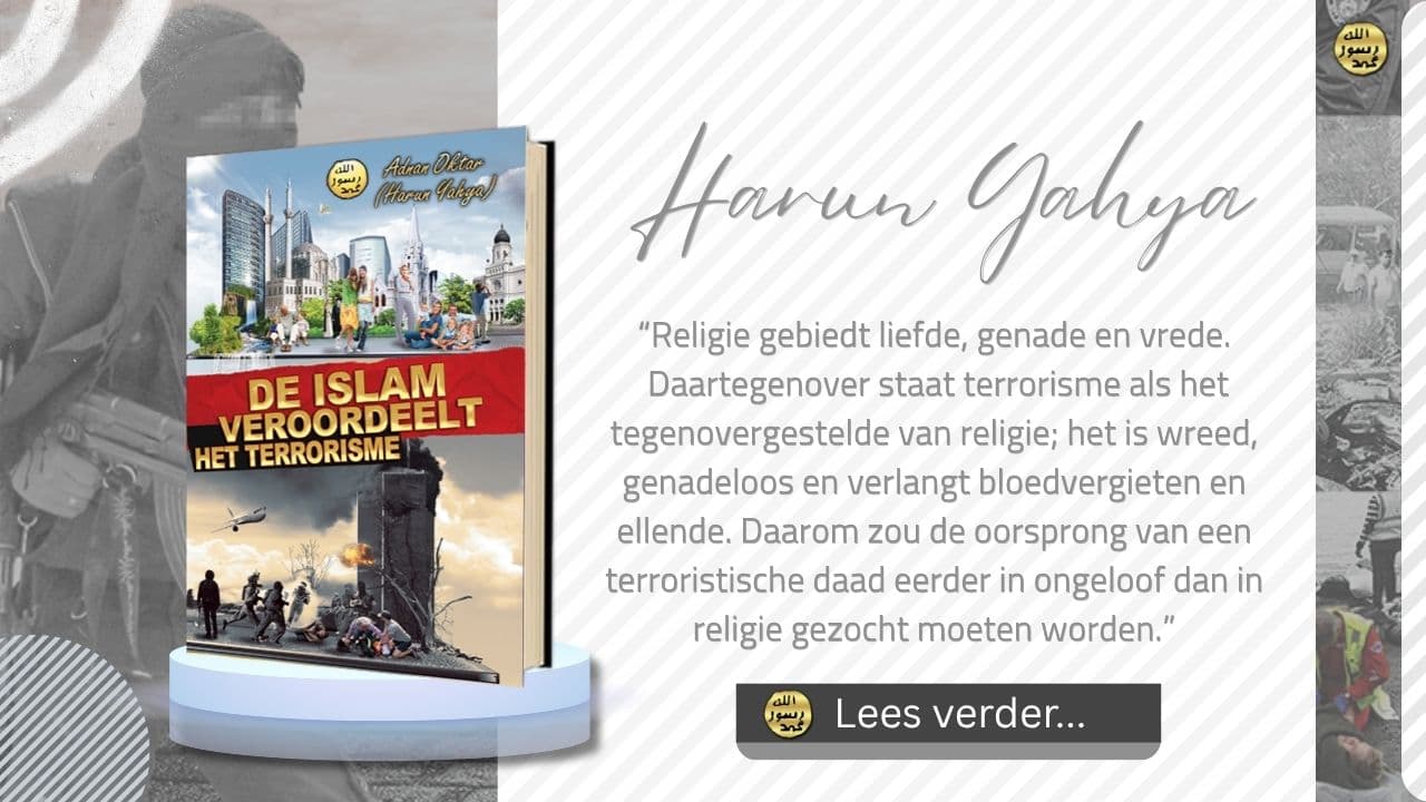 De Islam Veroordeelt het Terrorisme
