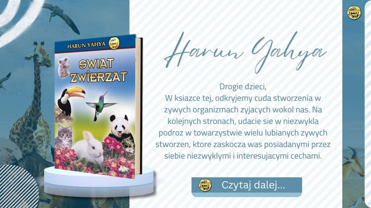 Świat Zwierząt