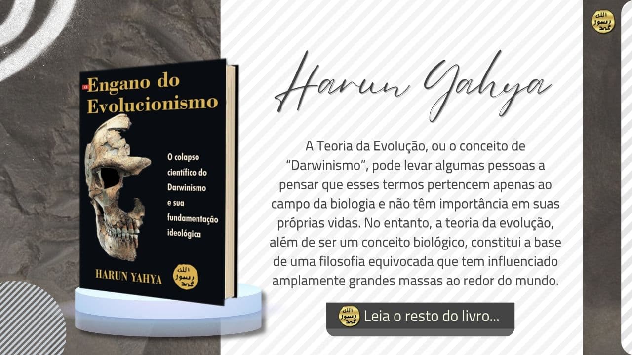 O Engano Do Evolucionismo