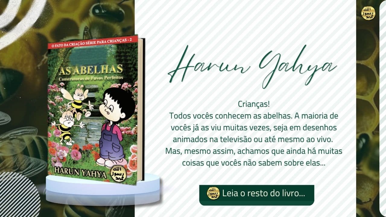 As Abelhas Construtoras De Favos Perfeitos