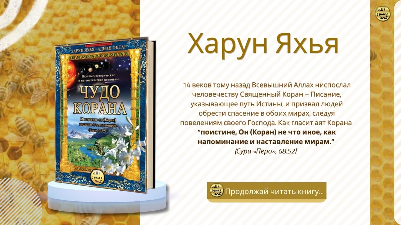 Чудеса Корана