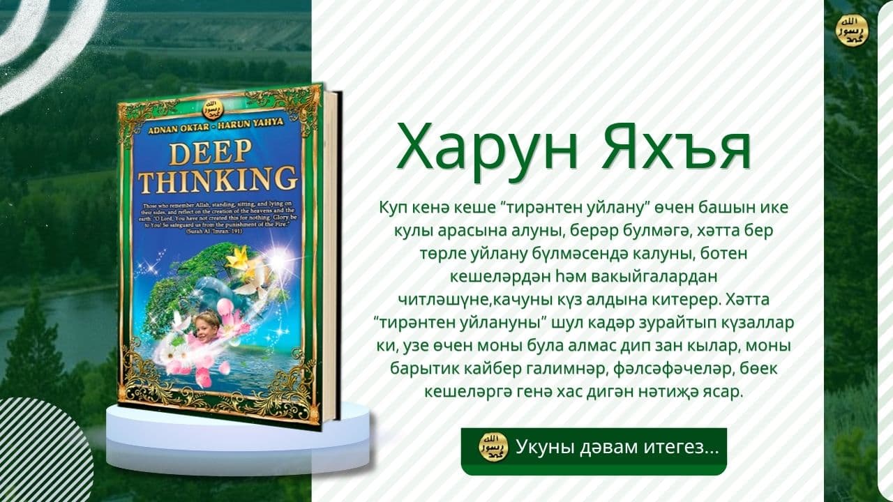 Тирән Уйлану