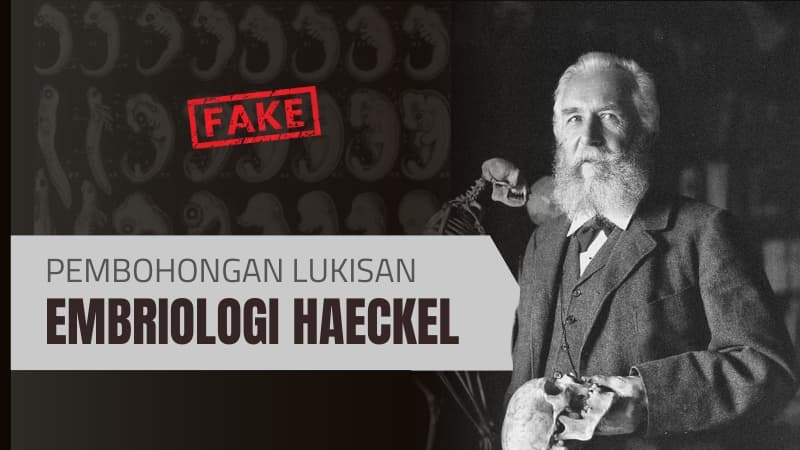 PEMBOHONGAN LUKISAN EMBRIOLOGI HAECKEL