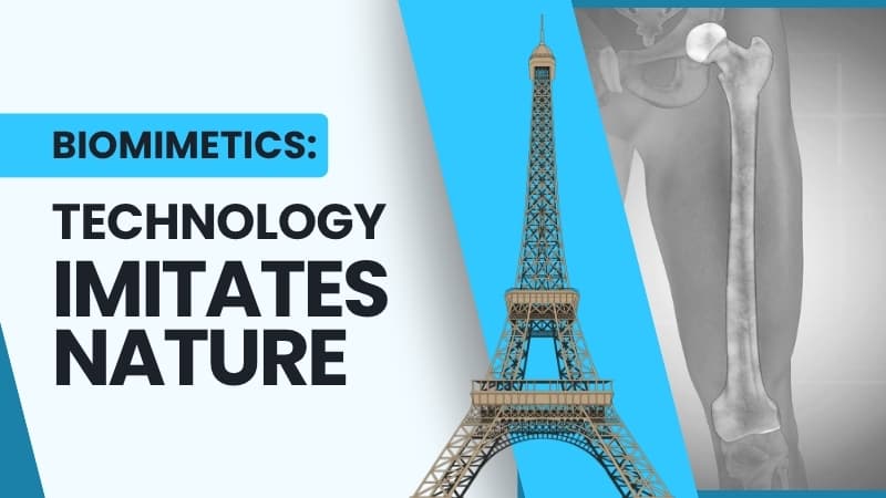 BIOMIMETICS: TECHNOLOGY IMITATES NATURE (MALAY)