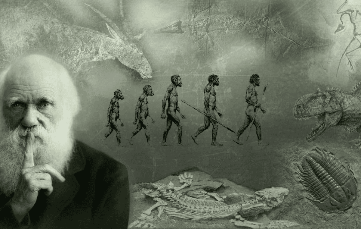 A MENTALIDADE DE QUE PRETENDE ATRIBUIR TERRORISMO AO ISLÃ É A MENTALIDADE DARWINISTA QUE REPRESENTA A VERDADEIRA FONTE DO TERRORISMO