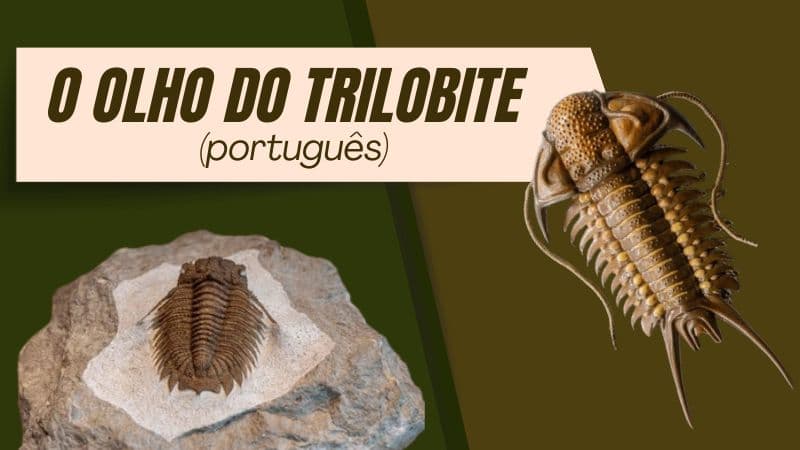 O OLHO DO TRILOBITE (português)