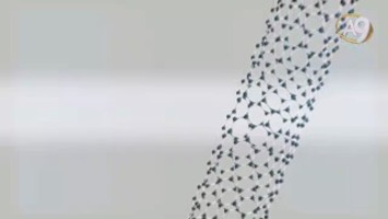 Karbon Nano Tüpler