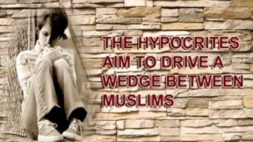 The Hypocrites Aim to Drive a Wedge between Muslims 