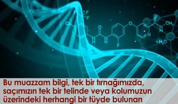 Vücudun gizli hazinesi; DNA