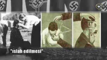 Nazi ideolojisi ve evrim teorisi