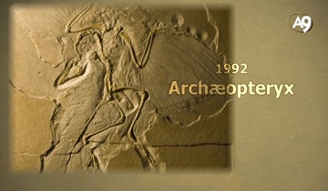 Die Archaeopteryx Lüge