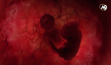 Miracles of the Qur'an: Three Dark Stages of The Baby in The Womb