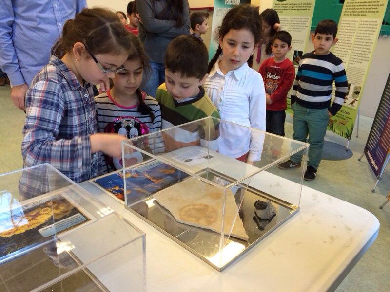 Enchede'deki İslami bir okulda fosil sergisi 