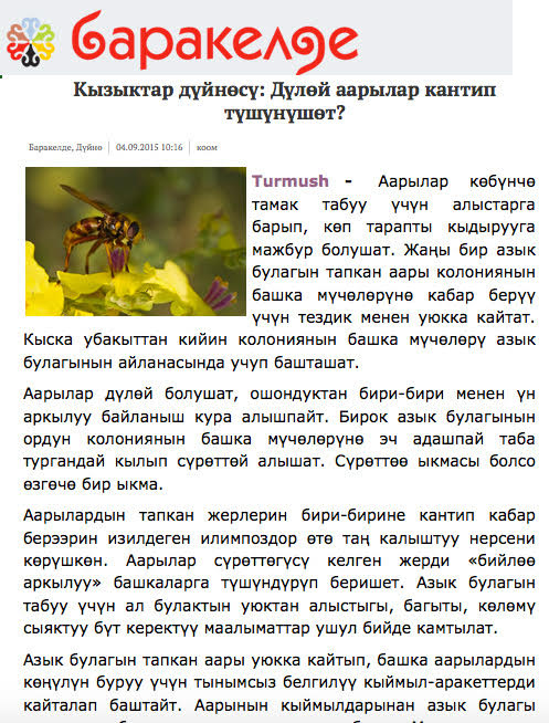 Sağır Arılar Nasıl Anlaşırlar?
