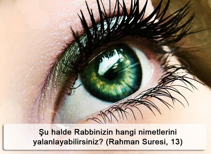 Şu halde Rabbinizin hangi nimetlerini yalanlayabilirsiniz? (Rahman Suresi, 13)