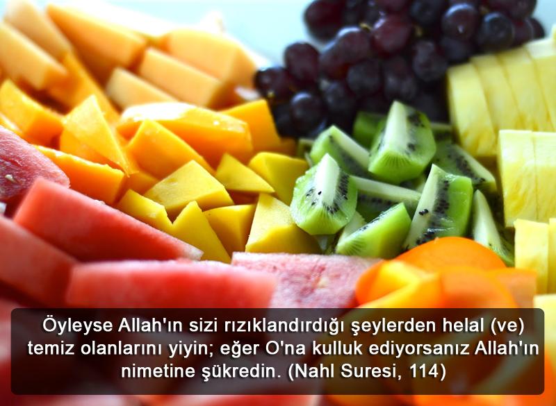  Öyleyse Allah'ın sizi rızıklandırdığı şeylerden helal (ve) temiz olanlarını yiyin; eğer O'na kulluk ediyorsanız Allah'ın nimetine şükredin. (Nahl Suresi, 114)
