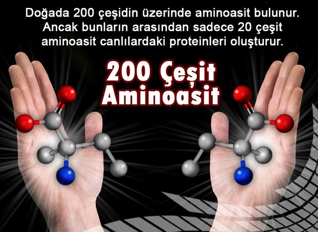 200 Çeşit Aminoasit