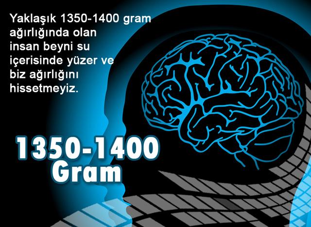1350-1400 Gram