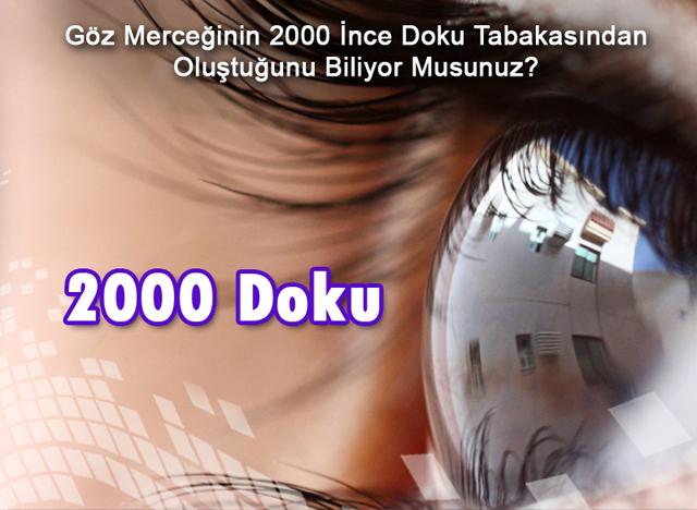 2000 Doku