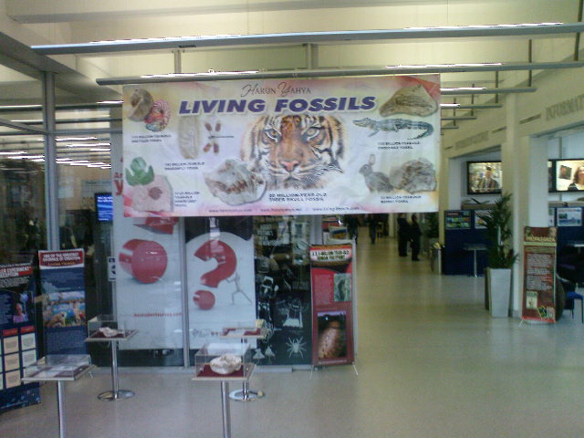 Leeds Metropolitan Üniversitesi'nde Yaşayan Fosiller Sergisi