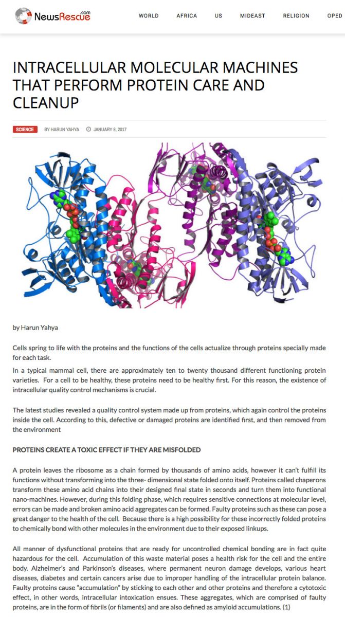 Hücre İçinde 7/24 Protein Temizliği Ve Bakımı Yapan Moleküler Makineler