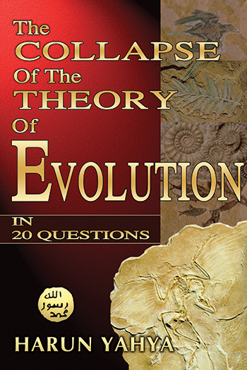 The Collapse of the Theory of Evolution in 20 Ques