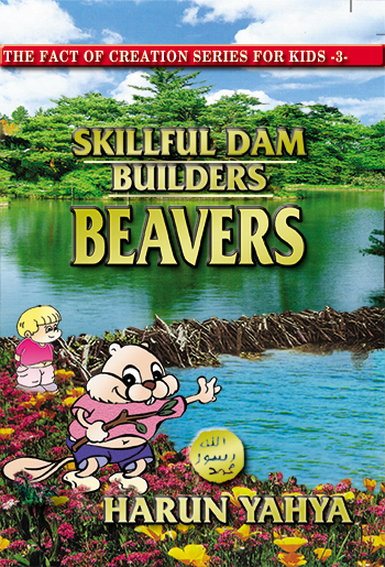 Skillful Dam Builders: Beavers
