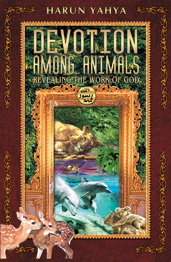 Devotion Among Animals Revealing the Work of God