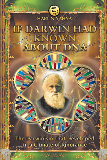 If Darwin Had Known about DNA