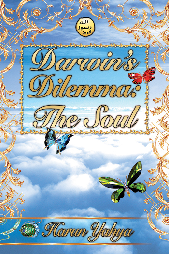 Darwin’s Dilemma: The Soul