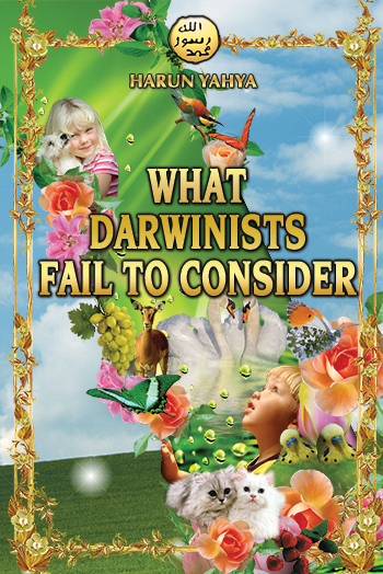 What Darwinists Fail To Consider