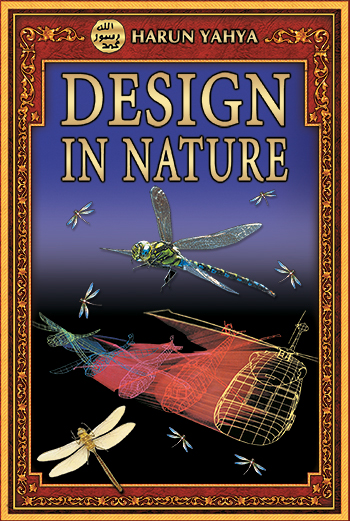 The Design in Nature