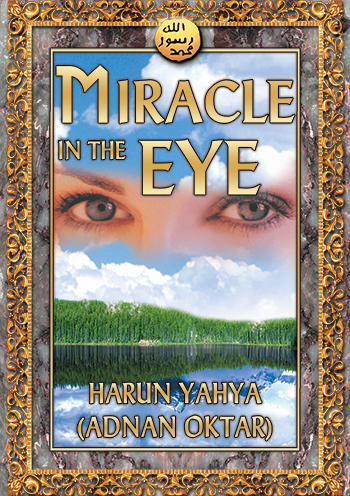 Miracle In The Eye