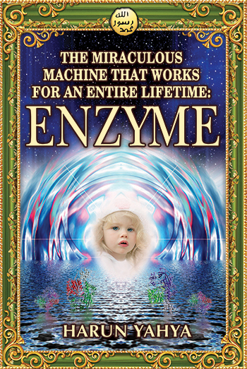 The Miraculous Machine That Works for an Entire Lifetime: Enzyme